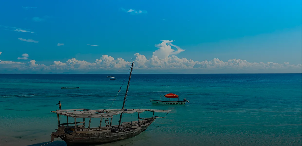 Fly From Dar es Salaam to Zanzibar