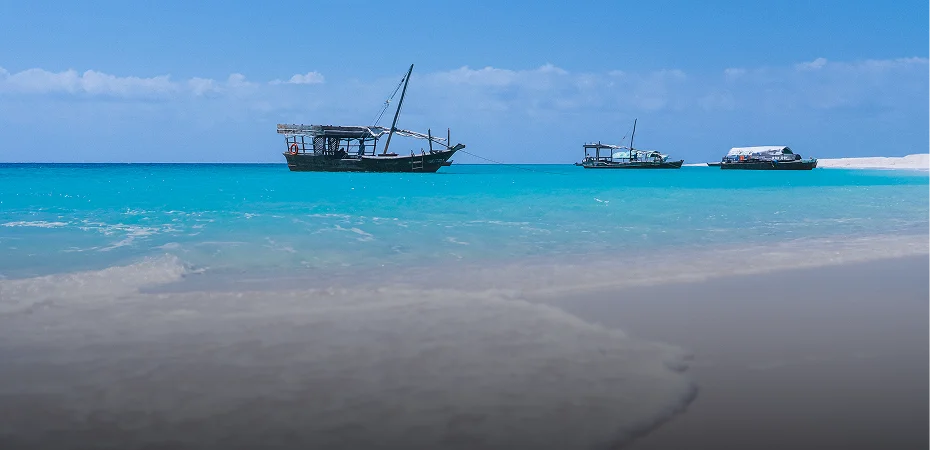 Fly to PEMBA from ZANZIBAR